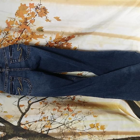 Silver Jeans - Picture 4 of 5